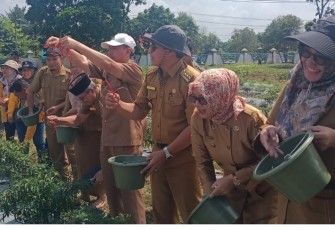 Sekretaris Daerah Sukarni, S.P., M.Si bersama dengan Dinas Pertanian memanen hasil tanaman cabai merah di halaman Kantor Bupati Bengkulu Selatan, Senin (6/5/2024)
