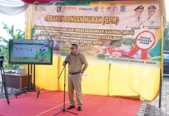 Bupati Asahan Ikuti Apel Siaga HBKN Jelang Idul Fitri 2024