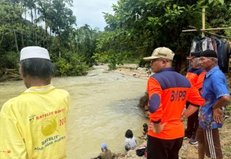 Pjs Bupati Pasaman Edi Dharma Tinjau Lokasi Terdampak Bencana