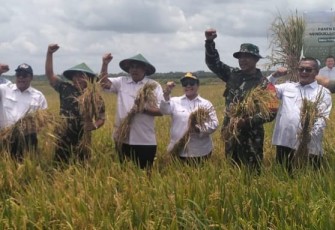 Panen dan Tanam Padi Bersama