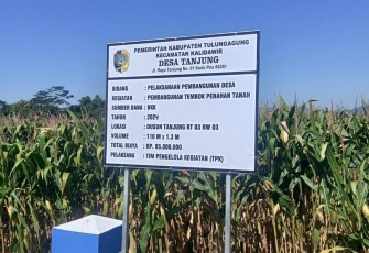 Pemdes Tanjung Mendapatkan Bantuan Keuangan Khusus Untuk Pembangunan TPT
