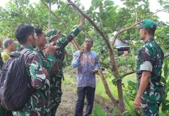 Anggota Kodim 1001/HSU-BLG saat praktek okulasi bibit tanaman, Kamis (25/1)