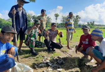 Gropyokan tikus di wilayah desa binaan, Jum'at (16/2)