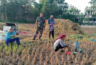 Bantu panen padi warga binaan