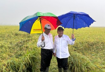 Wamenhan M Herindra Tinjau Panen Raya 