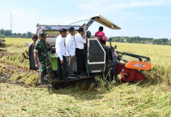 Panen Raya Padi Kabupaten Ponorogo 