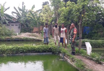 Komsos Babinsa dengan peternak lele di wilayah desa binaan 