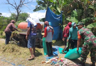 Ketahanan pangan wilayah desa binaan 