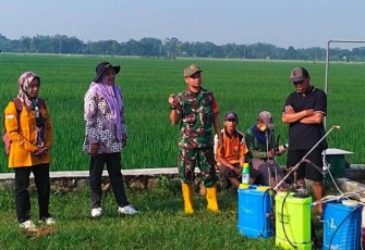 Penyuluhan pertanian di wilayah desa binaan 