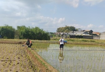 Pendampingan pengairan sawah wilayah desa binaan 