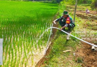 Pompanisasi aliri persawahan petani wilayah binaan 