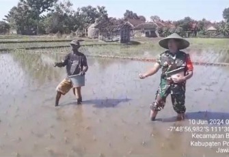 Pendampingan petani wilayah desa binaan 