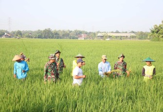 Pendampingan petani wilayah desa binaan 