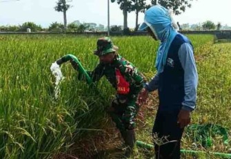 Pendampingan pompanisasi persawahan petani desa binaan 