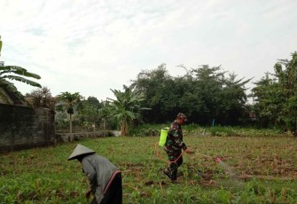 Pendampingan penyemprotan lahan pertanian warga binaan 