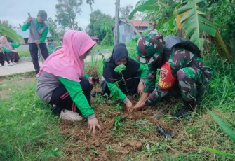 Penanaman bibit pohon produktif 