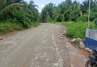 Pembangunan Jalan Usaha Tani di Lokasi TMMD sudah tuntas dibangun.