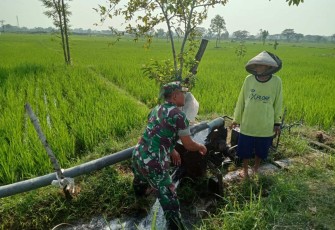 Pendampingan kelompok tani wilayah desa binaan 