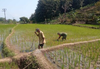 Pendampingan petani wilayah desa binaan 