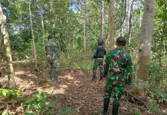 Patroli jalan tikus di perbatasan 