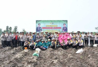 Tanam jagung dukung swasembada pangan di Kabupaten Ponorogo 