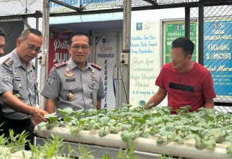 Kalapas Kelas I Medan Kontrol Langsung ke Tanaman Budidaya.