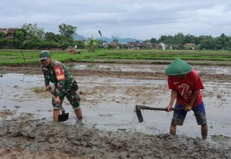 Bantu pengolahan lahan pertanian petani desa binaan 