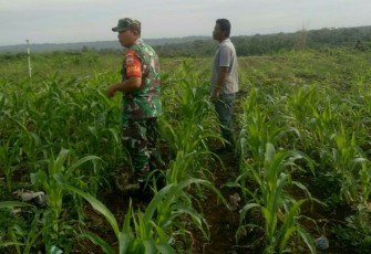 Pendampingan petani wilayah desa binaan 