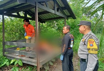 Tim Inafis Satreskrim Polres Malang saat olah TKP penemuan mayat perempuan di gubuk persawahan di Desa Jenggolo, Kepanjen, Malang, Selasa (17/12)