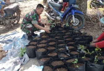 Sertu Suyatno bantu petani semai bibit cabai di wilayah desa binaannya 