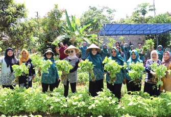 Ketua PKK Bintan saat Panen Sayur Bersama Dasa Wisma Nila
