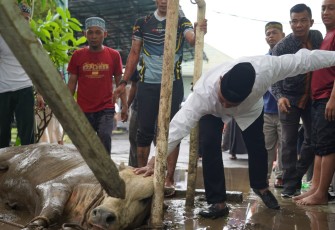 Korem 023/KS saat Adakan Kegiatan Pemotongan Hewan Qurban
