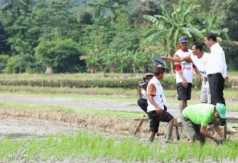 Mentan saat di Kota Palopo, Sulawesi Selatan, Sabtu, 3 Februari 2024.