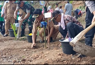 Aksi Penanaman Pohon