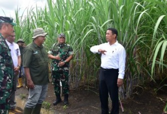 Mentan Andi Arman Sulaiman saat meninjau perkebunan tebu di Distrik Tanah Miring, Papua Selatan, Rabu (17/4)