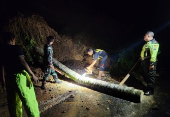 Saat ini hujan dengan intensitas tinggi melanda beberapa wilayah Kabupaten Pacitan, Sekitar pukul 21.10 Wib, tebing setinggi 6 meter dan lebar 5 meter mengalami longsor tepatnya di jalan raya Ponorogo-Pacitan (KM.326) Desa Pucangombo, Kec. Tegalombo, Kab. Pacitan, Kamis (07/03/2024)