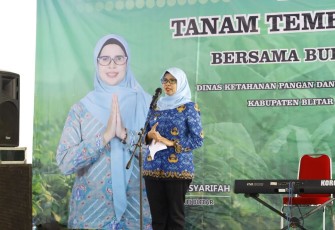 Bupati Blitar Rini Syarifah di Acara Tanam Tembakau Bersama Petani Tembakau di Kecamatan Kademangan