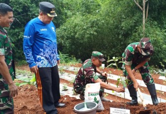 Kodim 0505/JT Tanam Pohon Buah dan Cabai