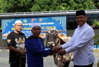 Polda Kalteng Sembelih 52 Sapi dan 12 Kambing