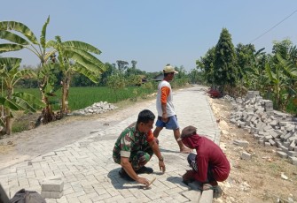 Babinsa Pangkur Bersama Warga Kompak Pasang Paving Jalan