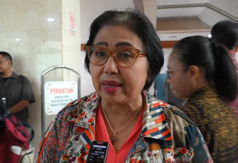 Anggota Komisi IX DPR RI Irma Suryani