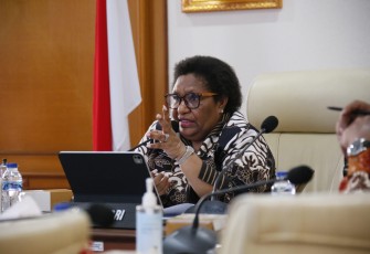 Wakil Menteri Dalam Negeri (Wamendagri) Ribka Haluk