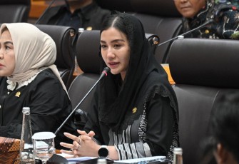 Anggota Komisi VII DPR RI Novita Hardini, saat mengikuti Rapat Kerja bersama Kementrian UMKM di Senayan, Jakarta, Rabu (12/2/2025)