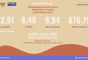 Bea Cukai Aceh
