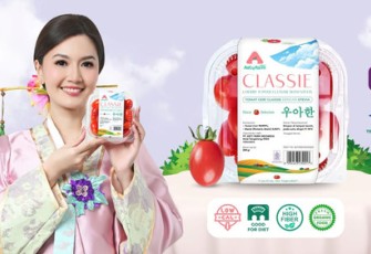 Cherry Tomato Stevia Premium