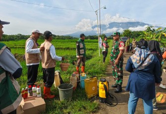 Gerakan Pengendalian OPT Wilayah Desa 