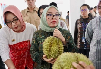 Wamenkop Farida Farichah 