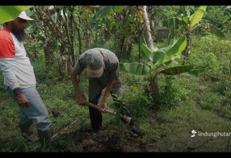 Hari Tani Nasional 2025, LindungiHutan Perkuat Peran Petani dalam Penghijauan dan Ketahanan Iklim