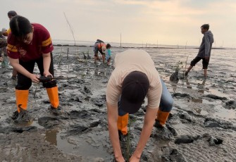 KAI Logistik Tanam 2.000 Mangrove