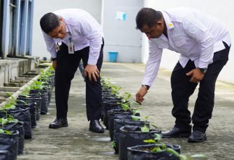Rutan Kelas I Medan Mendukung Program Ketahanan Pangan  Lakukan Penanaman Bibit Cabai dan Terong.